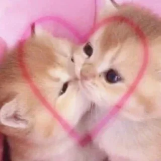 ❤️