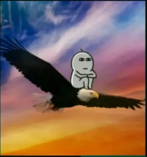 🦅