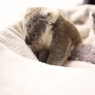 😙