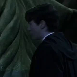 🐍