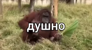 😎