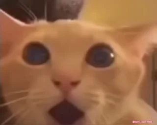 😱