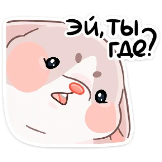 ❓