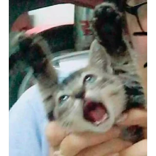 😵