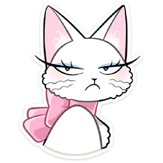 🐱