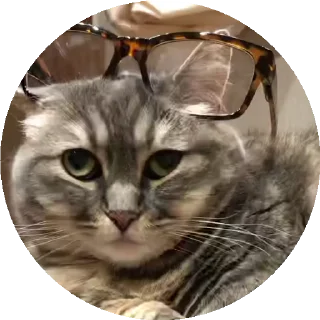 🤓