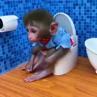 🚽
