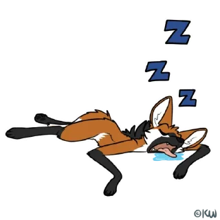 💤