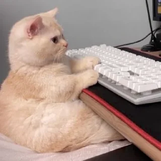 🤓