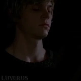 🌟