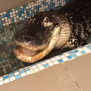 😳