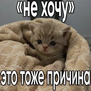 🤫