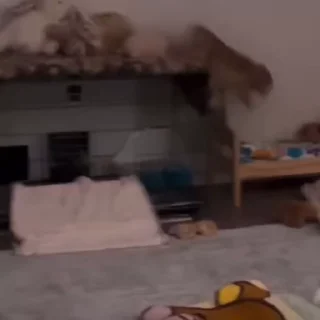 🏃