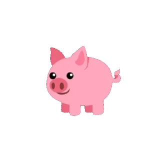 🐖