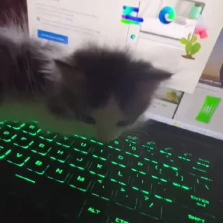 ⌨️