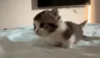 🙂