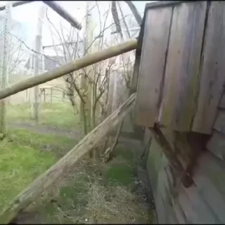 😜