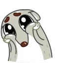 🥺