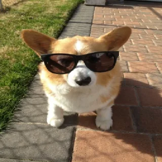 😎
