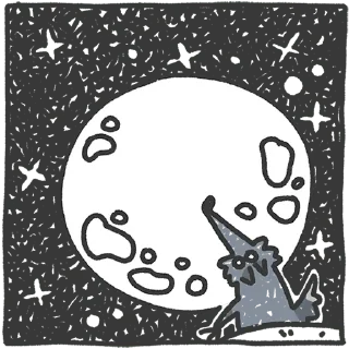 🌕