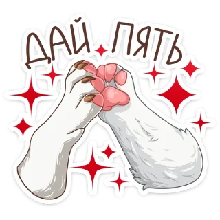 ✋