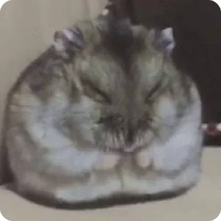 🧽