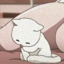 🐱