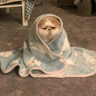🙂