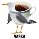 🕊