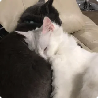 🤗