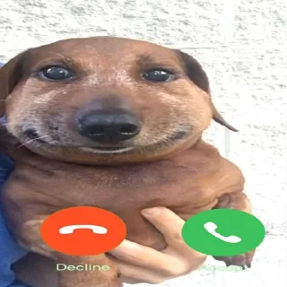 📞