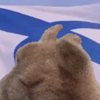 🚢