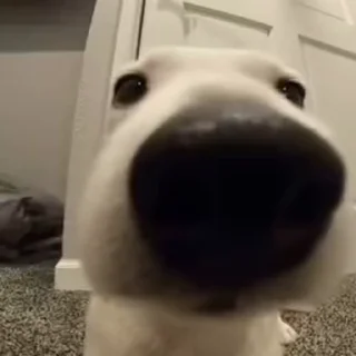 😉