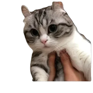 🫥
