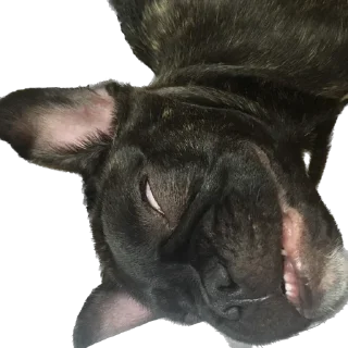 🤪