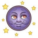 🌚