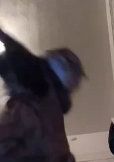 🌟
