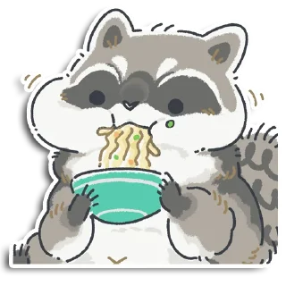 🦝