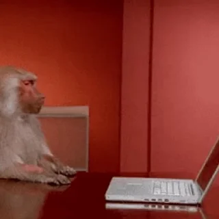 💻