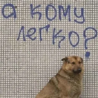 😞