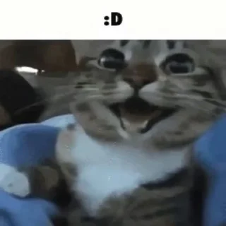 🥺
