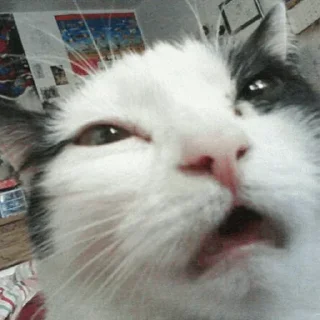 😙