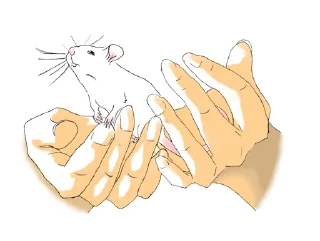 🤲