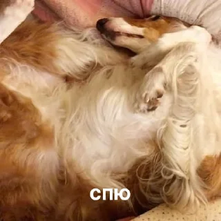 😴