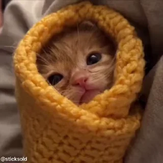 🥺