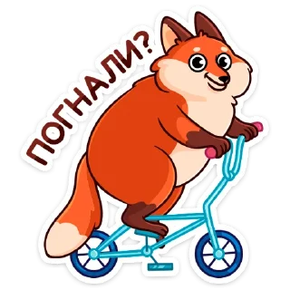 🚲