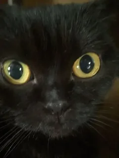 😳