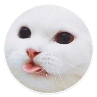 😋