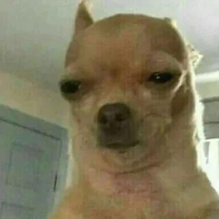 😑