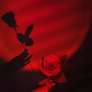 ♦️